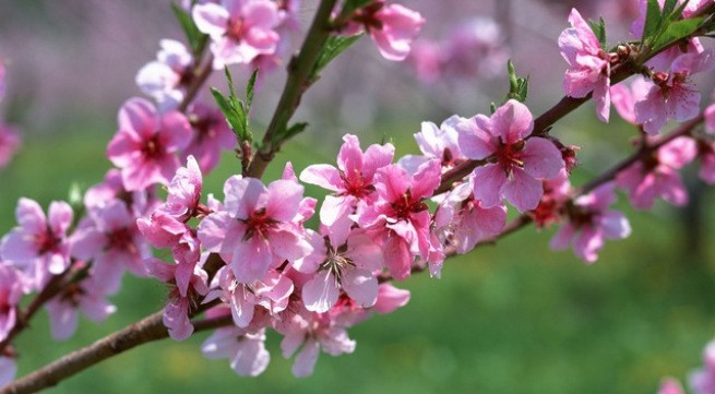 Ảnh minh họa: Internet