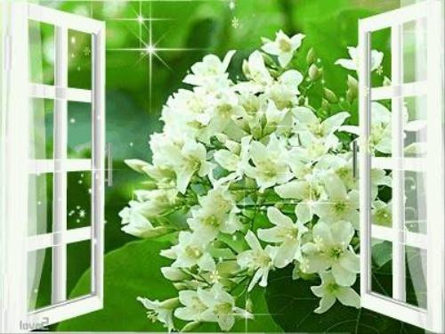 Ảnh minh họa: Internet