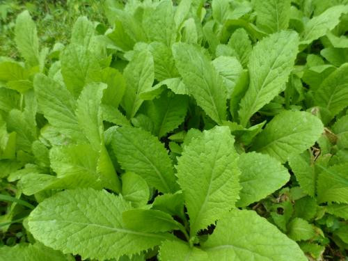 Ảnh minh họa: Internet