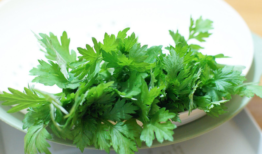 Ảnh minh họa: Internet