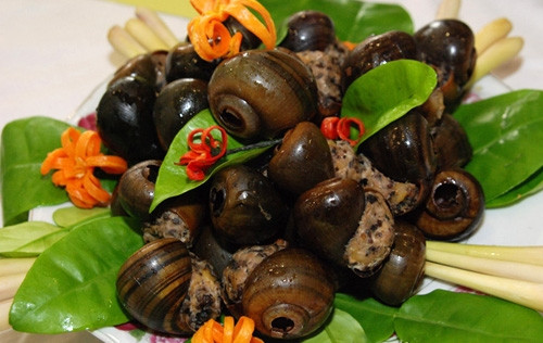 Ảnh minh hoạ: Internet