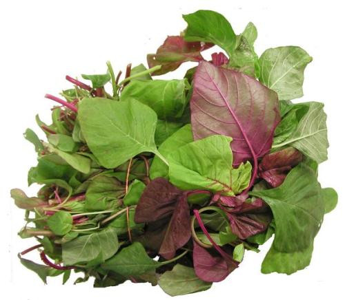 Ảnh minh hoạ: Internet