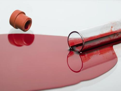 Ảnh minh hoạ: Internet