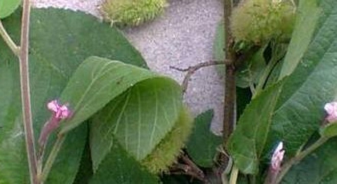 Ảnh minh hoạ: Internet