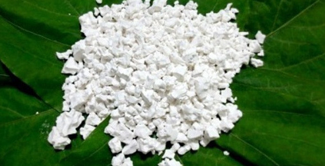 Ảnh minh hoạ: Internet