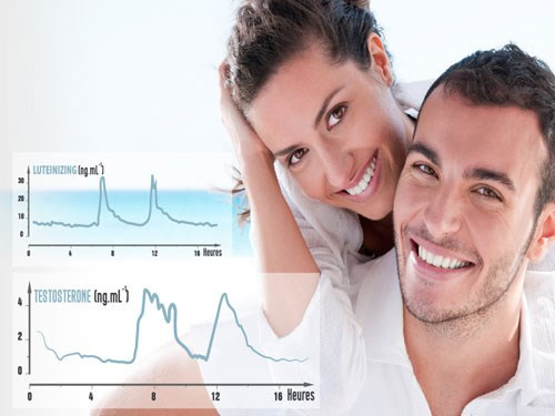 Ảnh minh họa: Internet