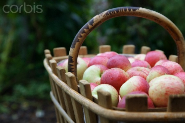 Ảnh minh họa: Internet