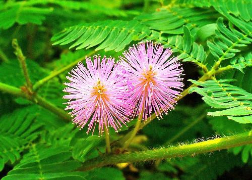 Ảnh minh họa: Internet