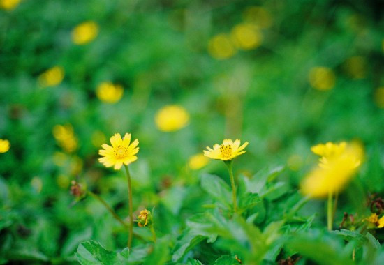 Ảnh minh hoạ: Internet