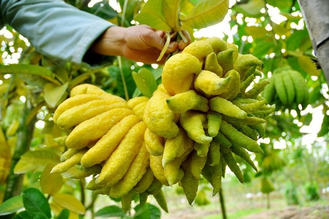 Ảnh minh họa: Internet