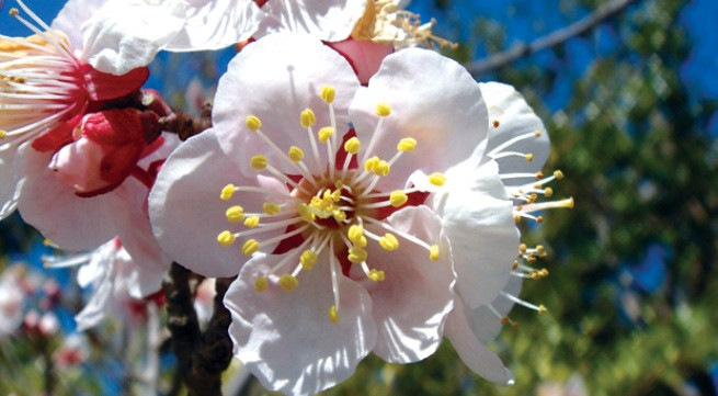 Ảnh minh họa: Internet