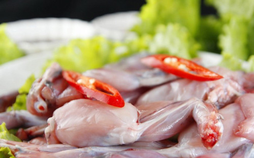 Thịt cóc nhiều chất dinh dưỡng nhưng rất dễ gây ngộ độc chết người. Ảnh minh hoạ: Internet