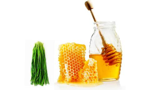 Ảnh minh hoạ: Internet