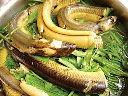 Ảnh minh hoạ: Internet