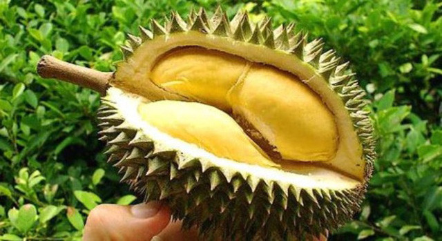 Ảnh minh hoạ: Internet