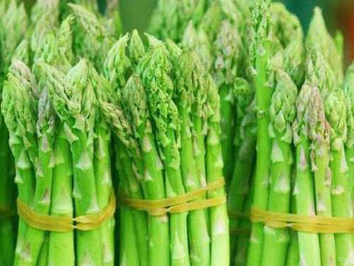 Ảnh minh hoạ: Internet