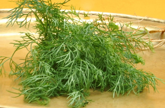 Ảnh minh họa: Internet