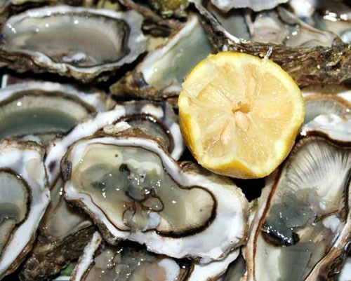 Ảnh minh họa: Internet