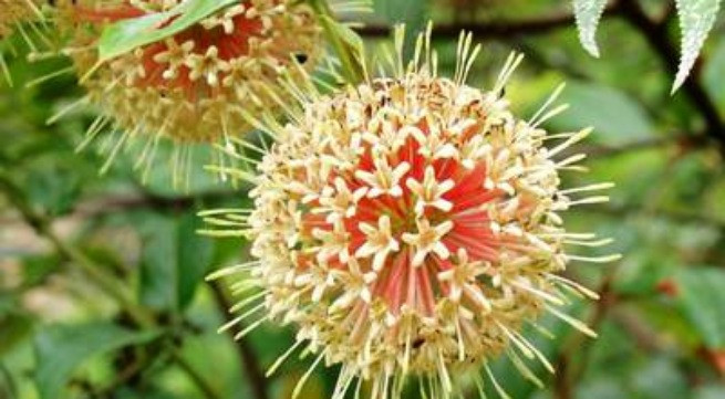 Ảnh minh họa: Internet