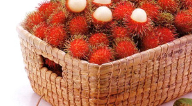 Ảnh minh họa: Internet