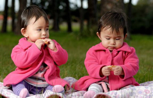 Ảnh minh hoạ: Internet