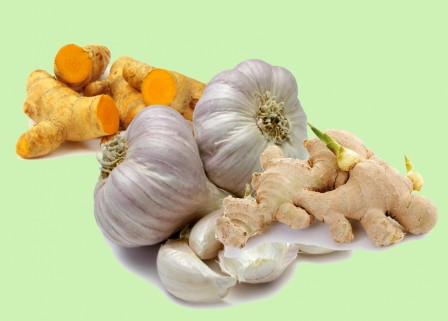 Ảnh minh hoạ: Internet