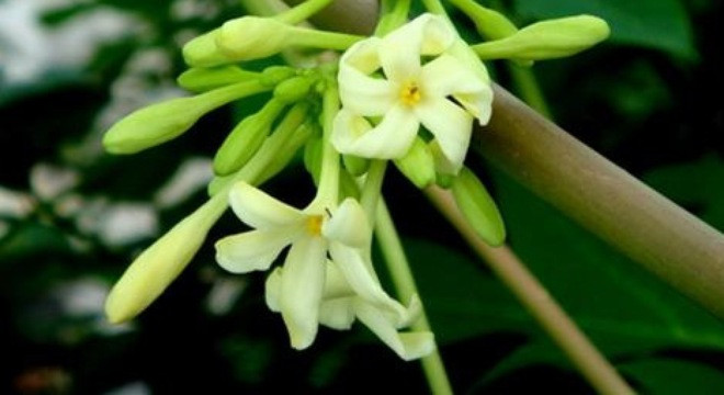 Ảnh minh hoạ: Internet