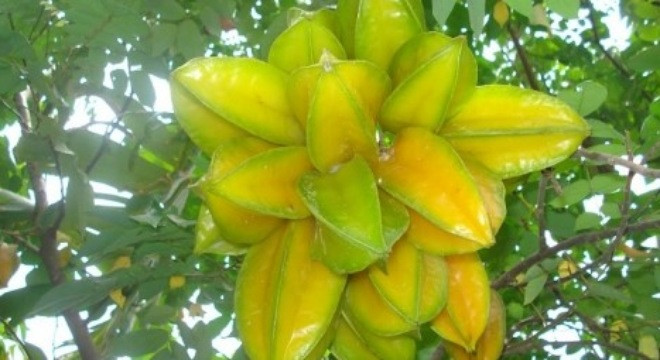 Ảnh minh hoạ: Internet