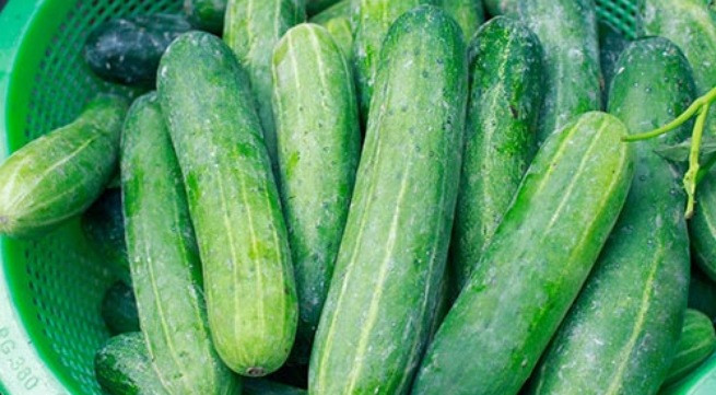 Ảnh minh họa: Internet