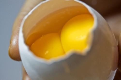 Ảnh minh họa: Internet