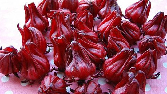 Ảnh minh họa: Internet