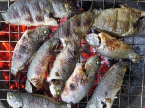 Ảnh minh họa: Internet