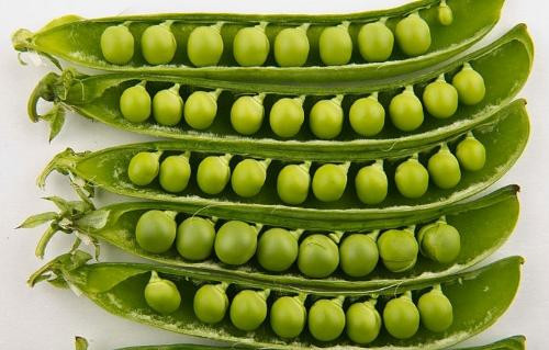 Ảnh minh họa: Internet