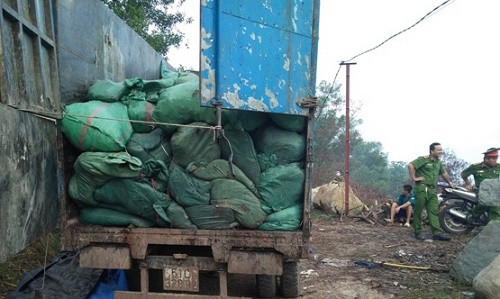  Bắt quả tang đoàn xe chở hàng chục tấn rác đi đổ trộm 