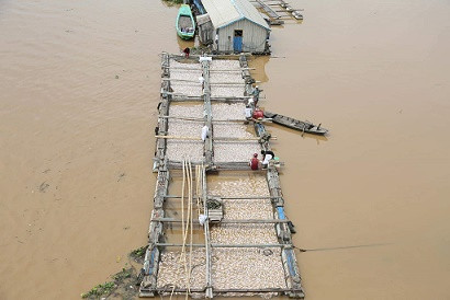 Dân xót xa nhìn hàng trăm tấn cá chết trắng sông La Ngà