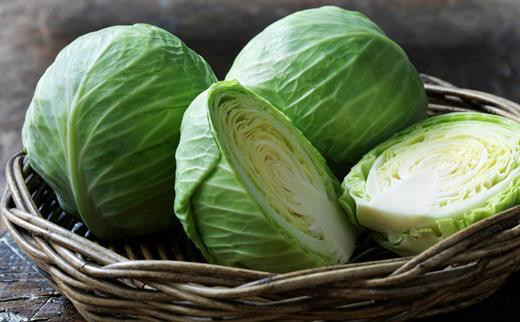 Ảnh minh họa: Internet