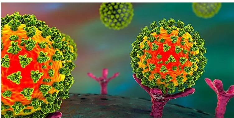 Biến thể Omicron có nhiều đột biến khác xa với SARS-CoV-2