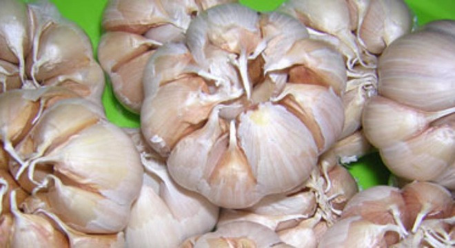 Ảnh minh họa: Internet