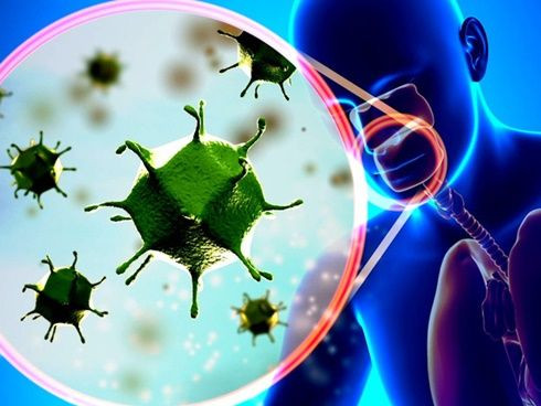 Ảnh minh họa: Internet