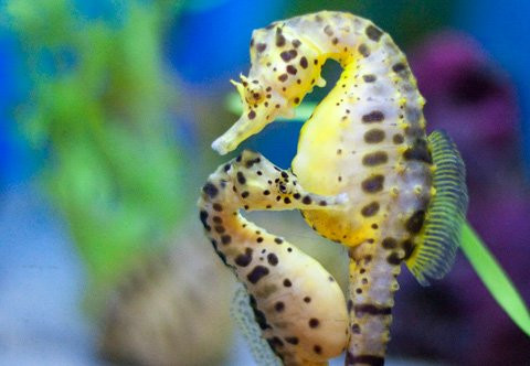 Ảnh minh họa: Internet