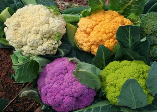 Ảnh minh hoạ: Internet