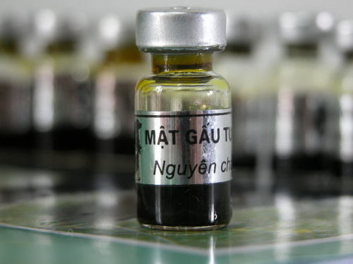 Ảnh minh họa: Internet