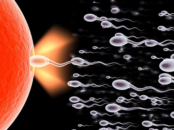 Ảnh minh hoạ: Internet