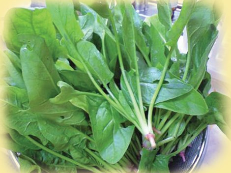 Ảnh minh họa: Internet