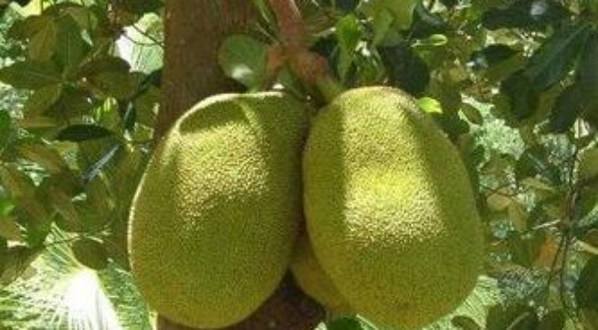 Ảnh minh họa: Internet