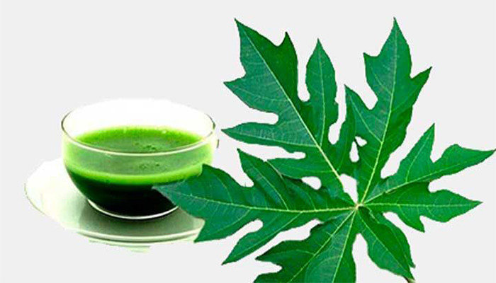 Ảnh minh họa: Internet