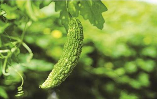 Ảnh minh hoạ: Internet