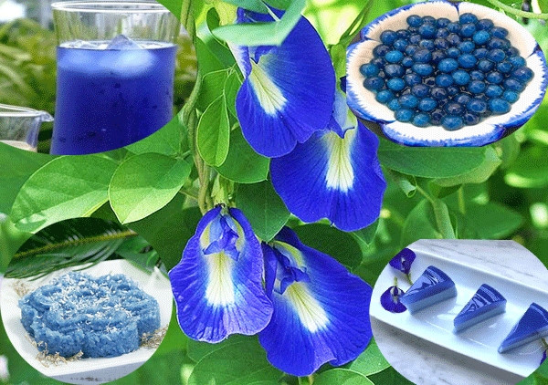 Ảnh minh họa: Internet