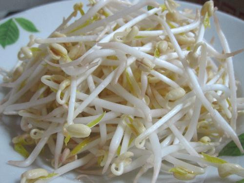 Ảnh minh họa: Internet