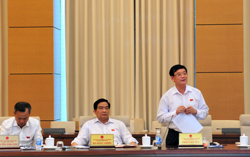 Đoàn giám sát, số lượng đại biểu HĐND cấp tỉnh là 3.903 đại biểu